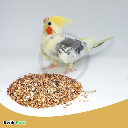 Volkman Seed Company Avain Science Super Cockatiel Bird Treat with Sunflower Seed 2-lb, Volkman