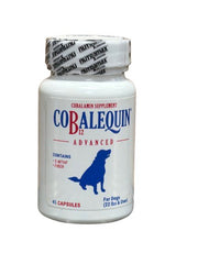 Nutramax Cobalequin B12 Advance Capsule Supplement for Dogs  Medium/Large 45 Count