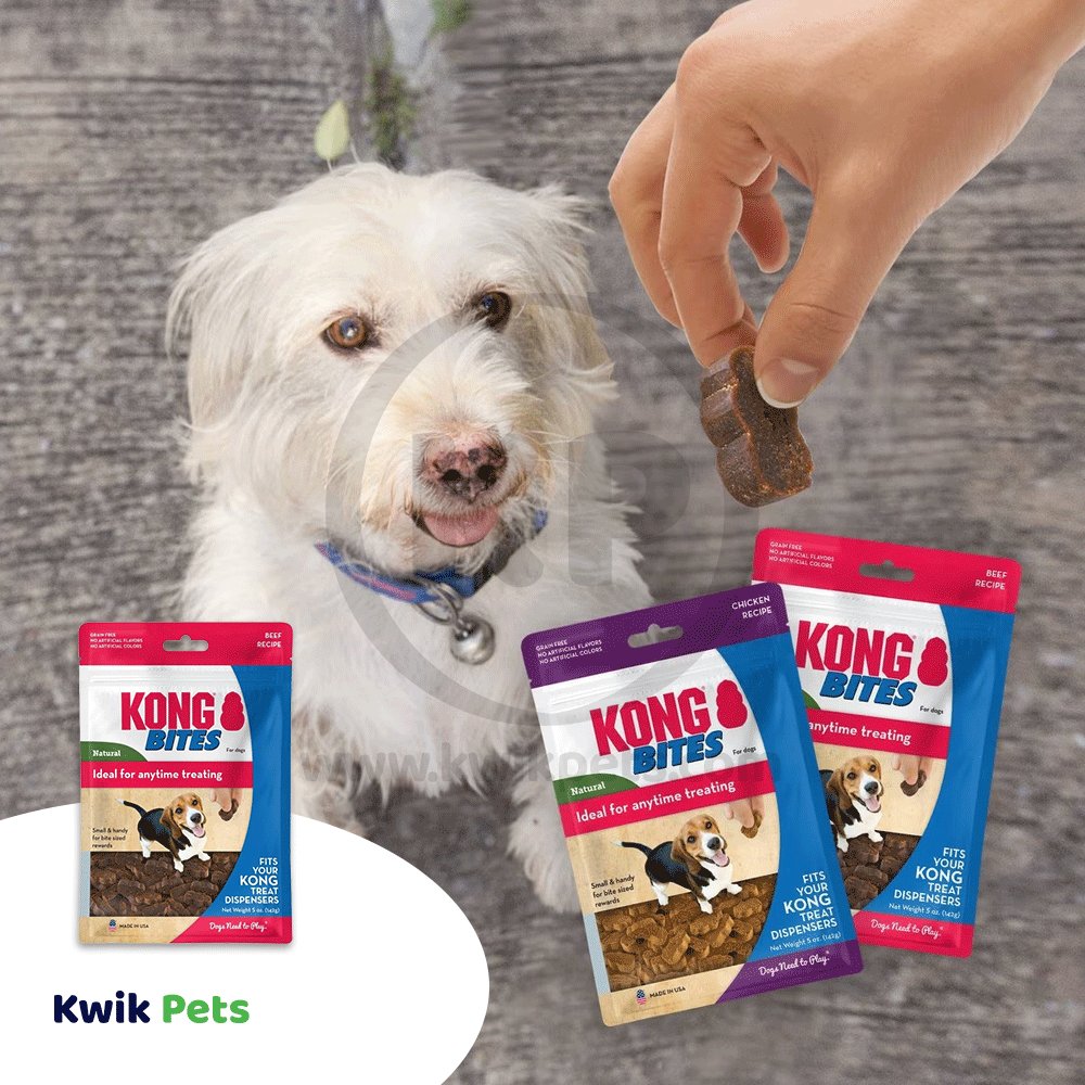 KONG Bites Dog Treats Regular, Beef, 5-oz, KONG
