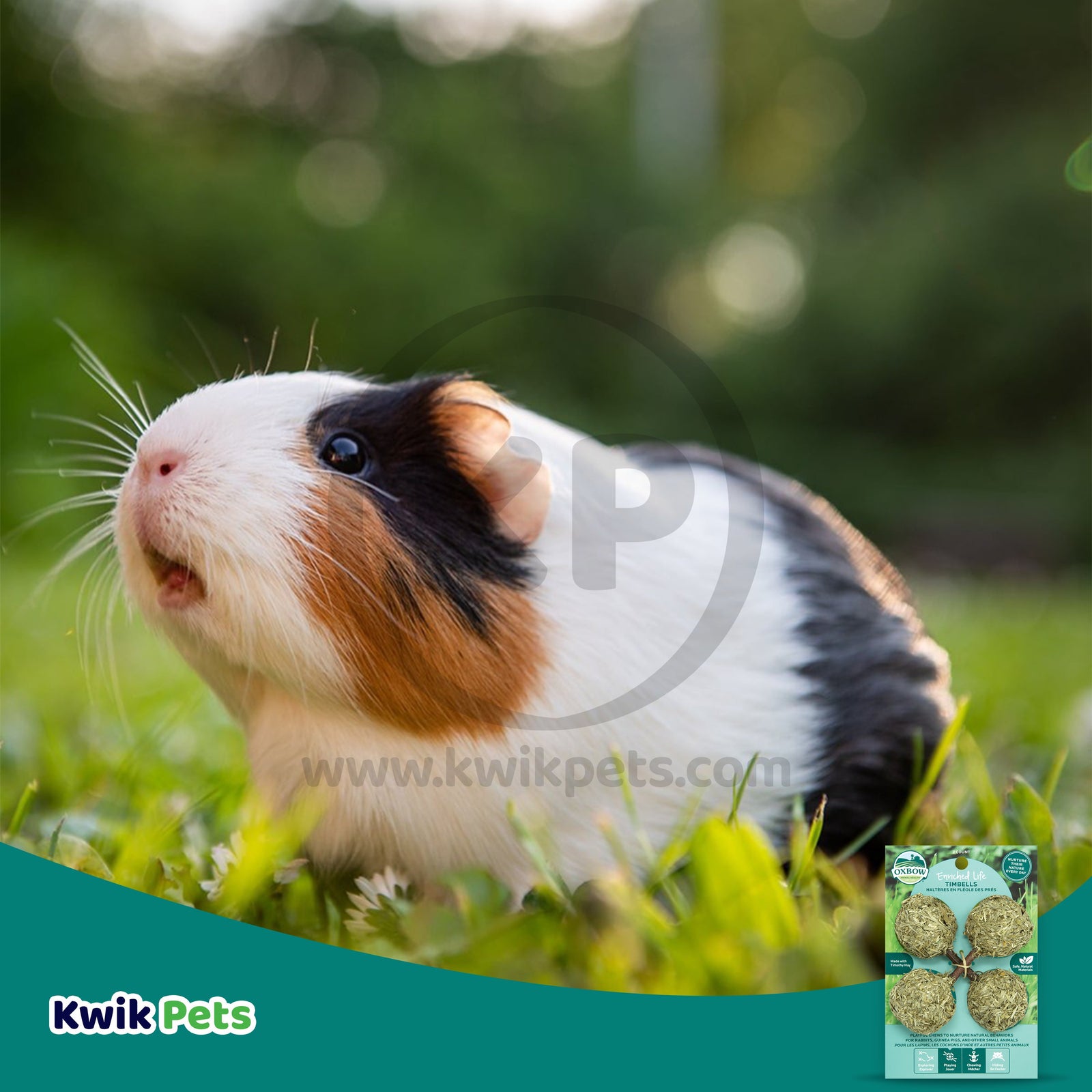 Oxbow Animal Health Enriched Life Timbells Small Animal Toy 2 Count, Kwik Pets