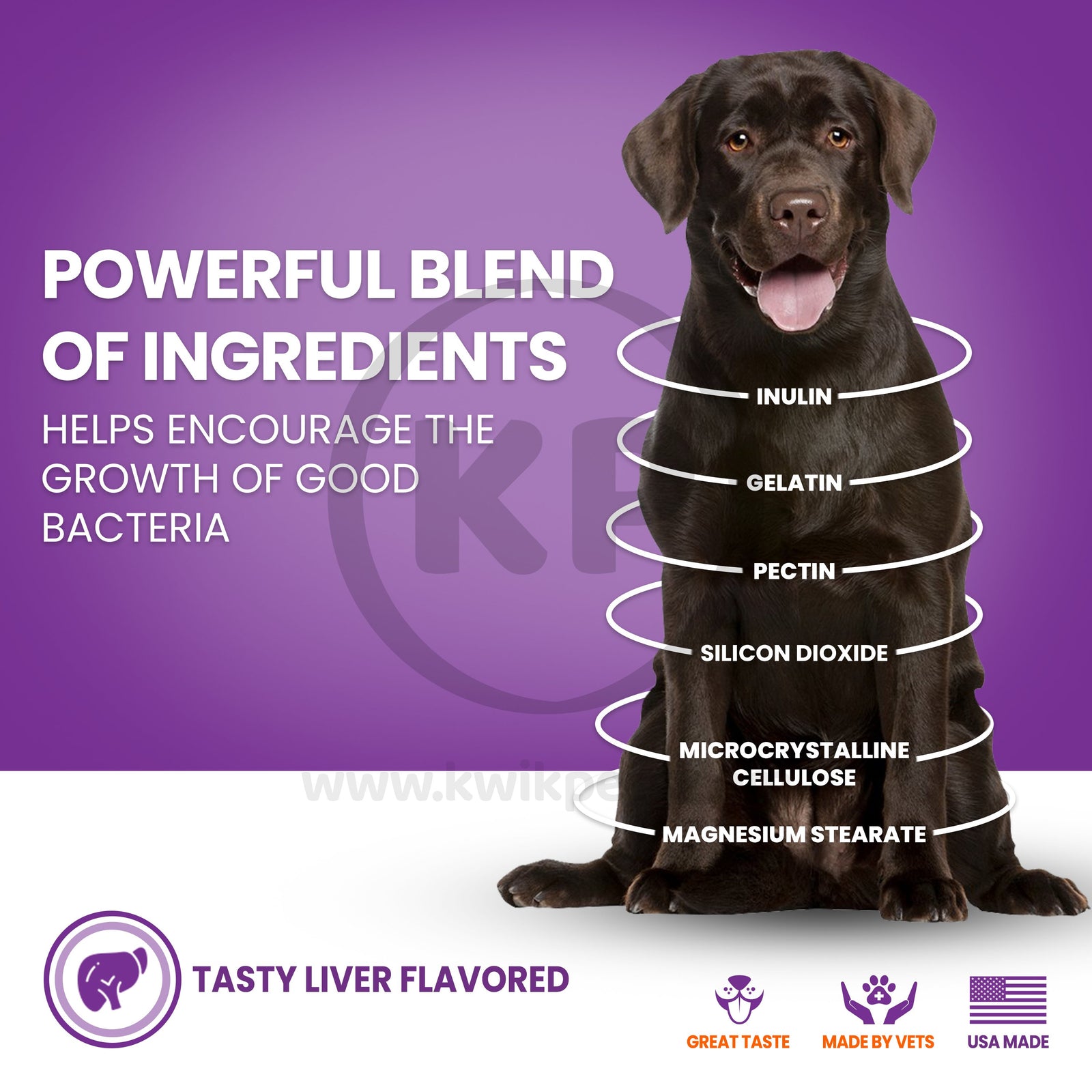 Get Nutri-Vet Probiotics for Dogs