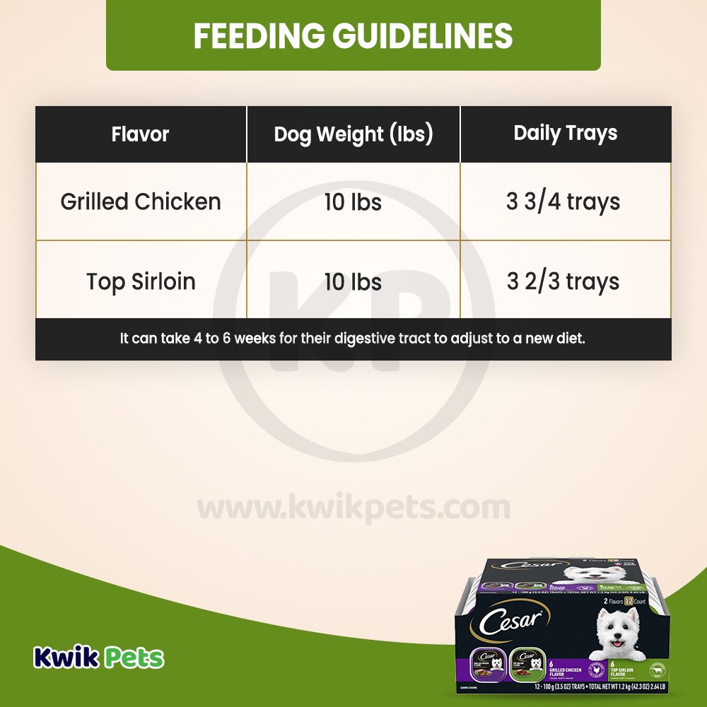 Cesar Classic Loaf in Sauce Adult Wet Dog Food Variety Pack Grilled Chicken & Top Serloin 12 Count 42.3-oz, Kwik Pets