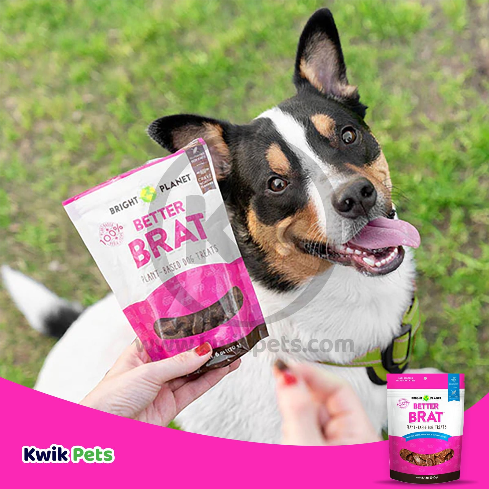 Bright Planet Better Brat Plant-Based Dog Treats 12-oz, Kwik Pets