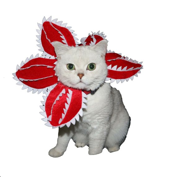 PAWPAWwholesale Demon Flower Halloween Dog & Cat Costume Red Medium