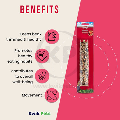 Kaytee Treat Stick Fruit and Veggie Flavor Cockatiel, 4-oz, Kaytee