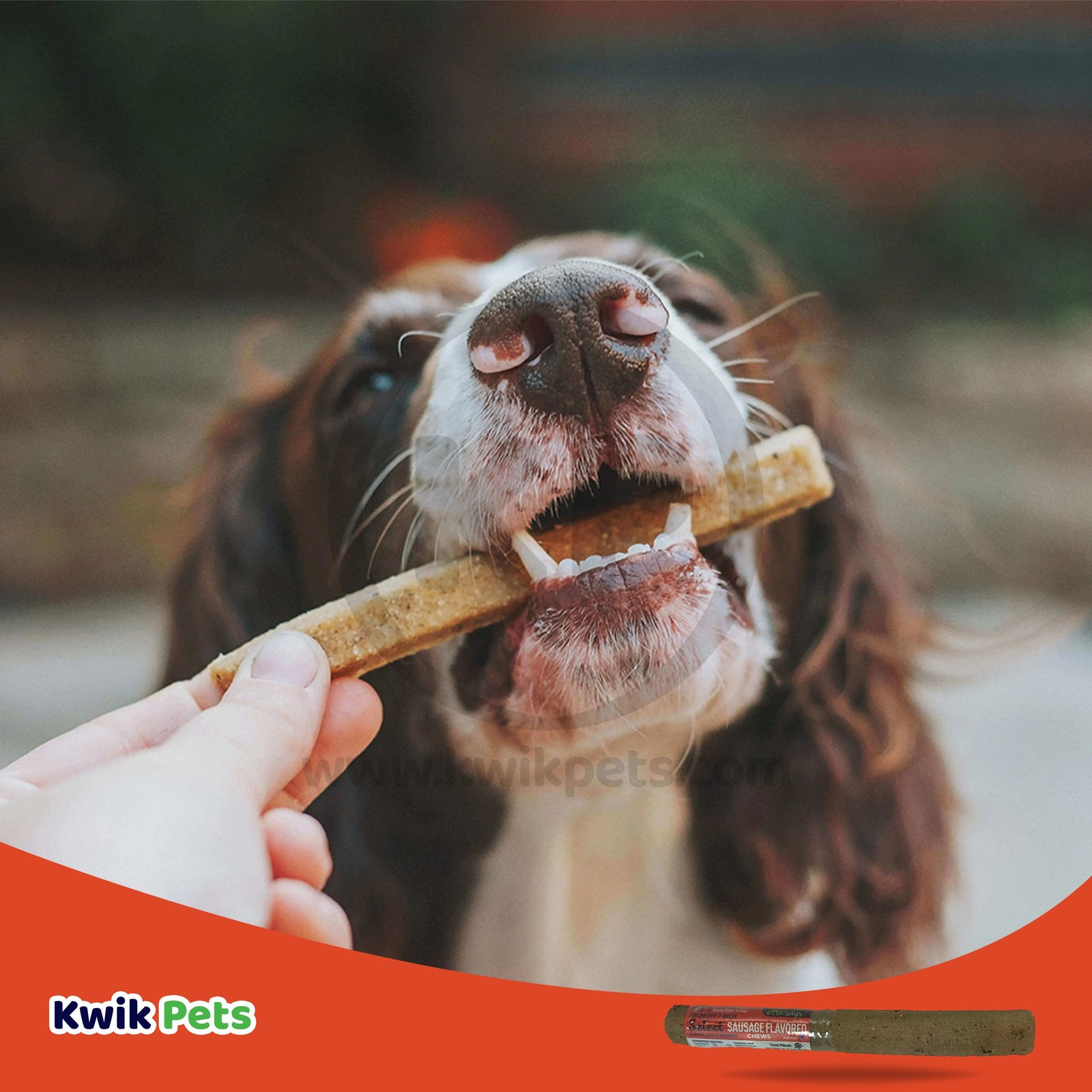 Etta Says! Select Crunchy Sausage Chews Dog Treat 7-in, Kwik Pets