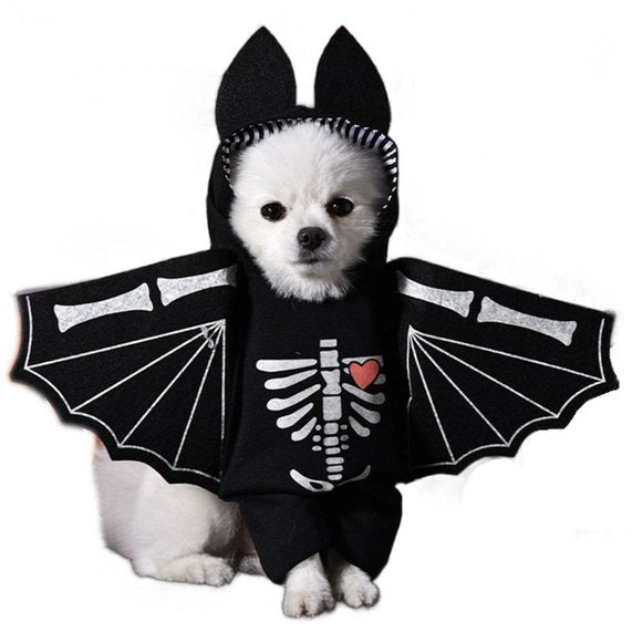 PAWPAWwholesale Bat Skeleton Halloween Dog Costume Black Medium