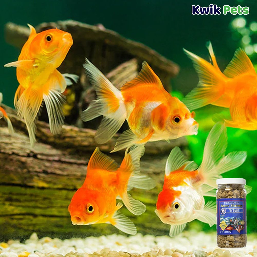 San Francisco Bay Brand Brine Shrimp Freeze-Dried Fish Food 1.36-oz