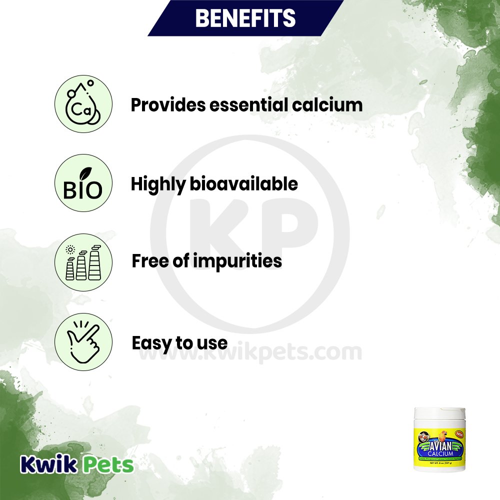 Zoo Med Avian Calcium Bird Supplement 8-oz, Kwik Pets