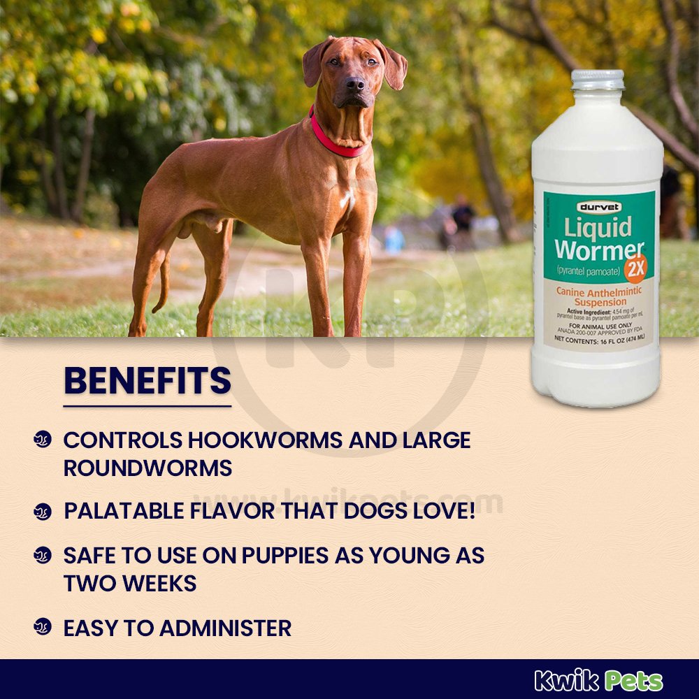 Durvet Liquid Canine Wormer 2X 16oz, Durvet