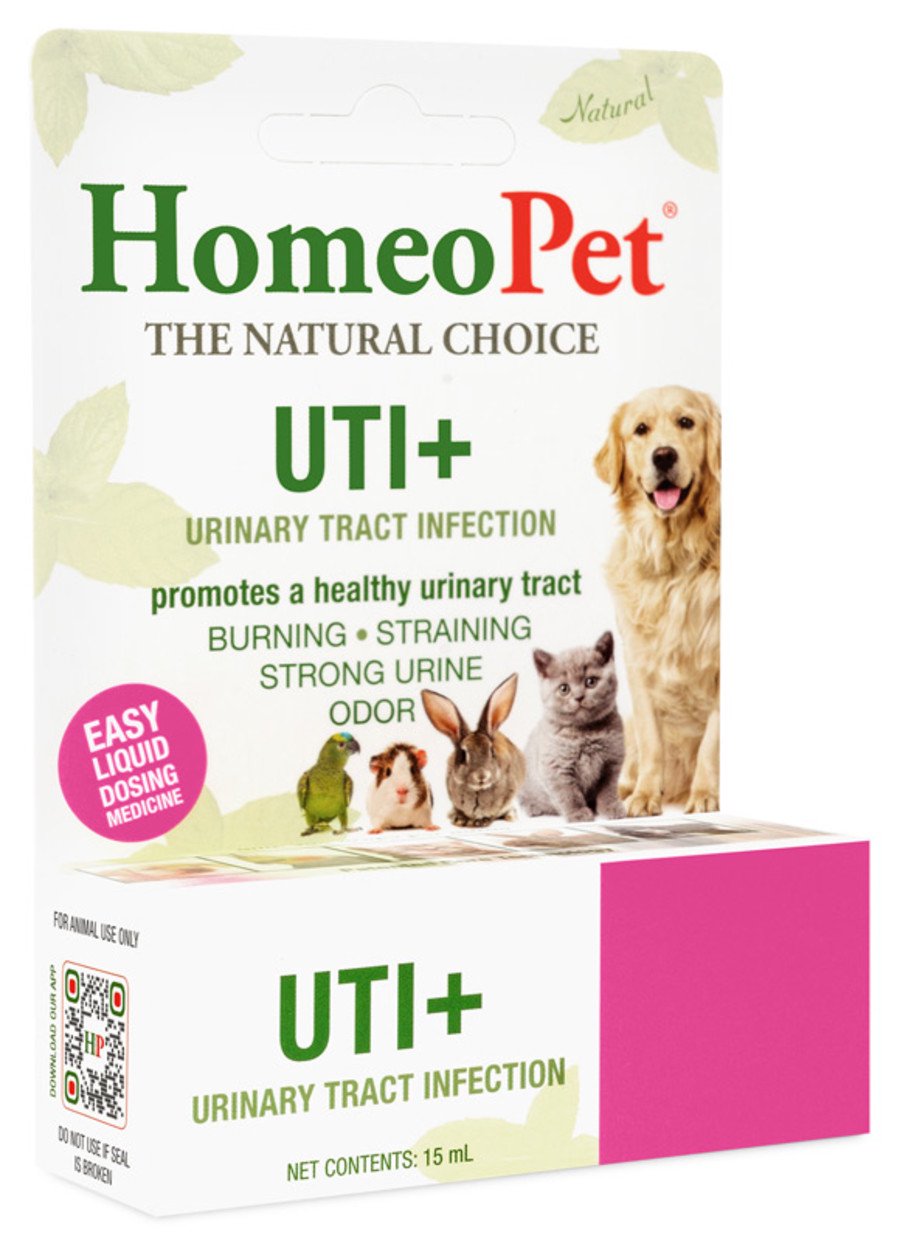 HomeoPet UTI+ Urinary Tract Infection Relief Supplement for All Pets 15 ml