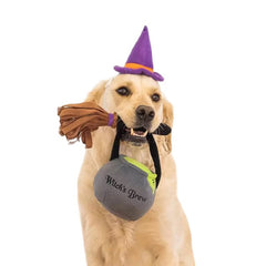 ZippyPaws Halloween Witch Costume Kit for Dogs
