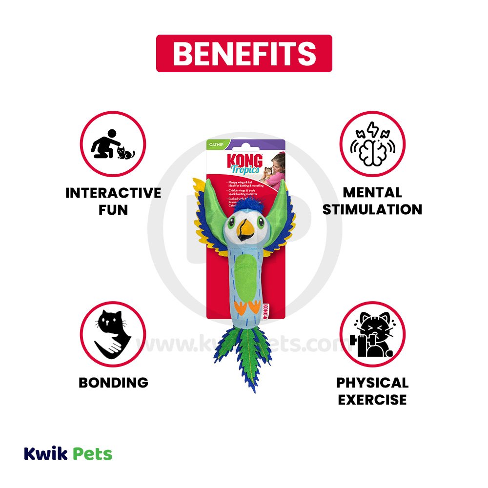 Benefits of KONG Tropics Bird Cat Toy Assorted One Size