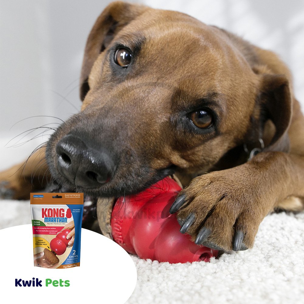 KONG Marathon Peanut Butter Dog Treats 2 Count