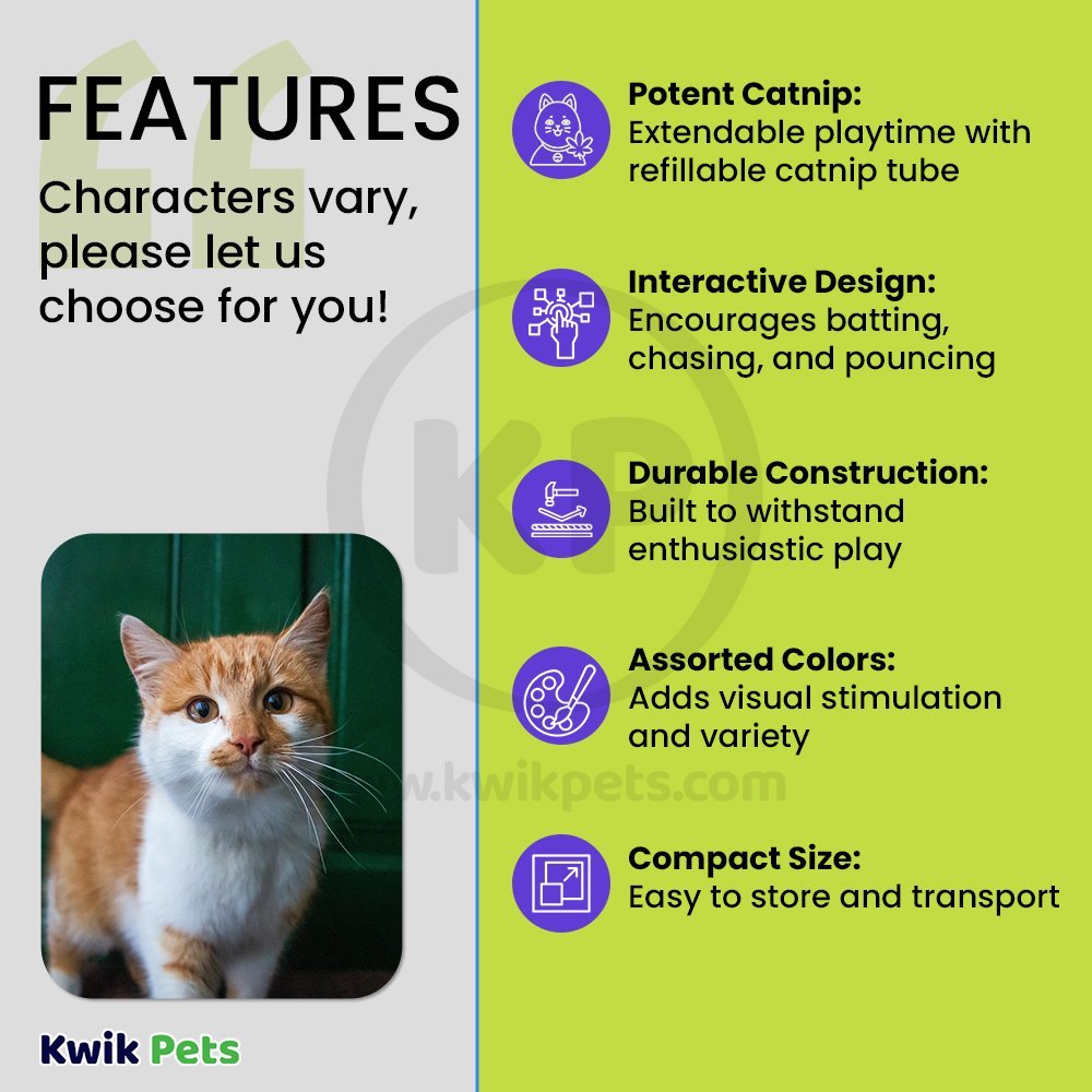 Features of SmartyKat Madcap Mouse Refillable with Catnip Tube Cat Toy Assorted