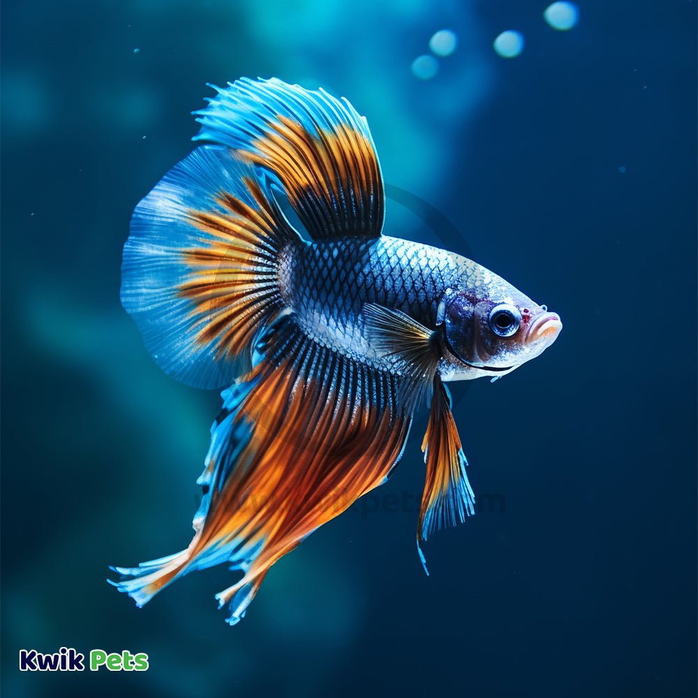 Acurel F Aquarium Water Clarifier 250 ml, Kwik Pets