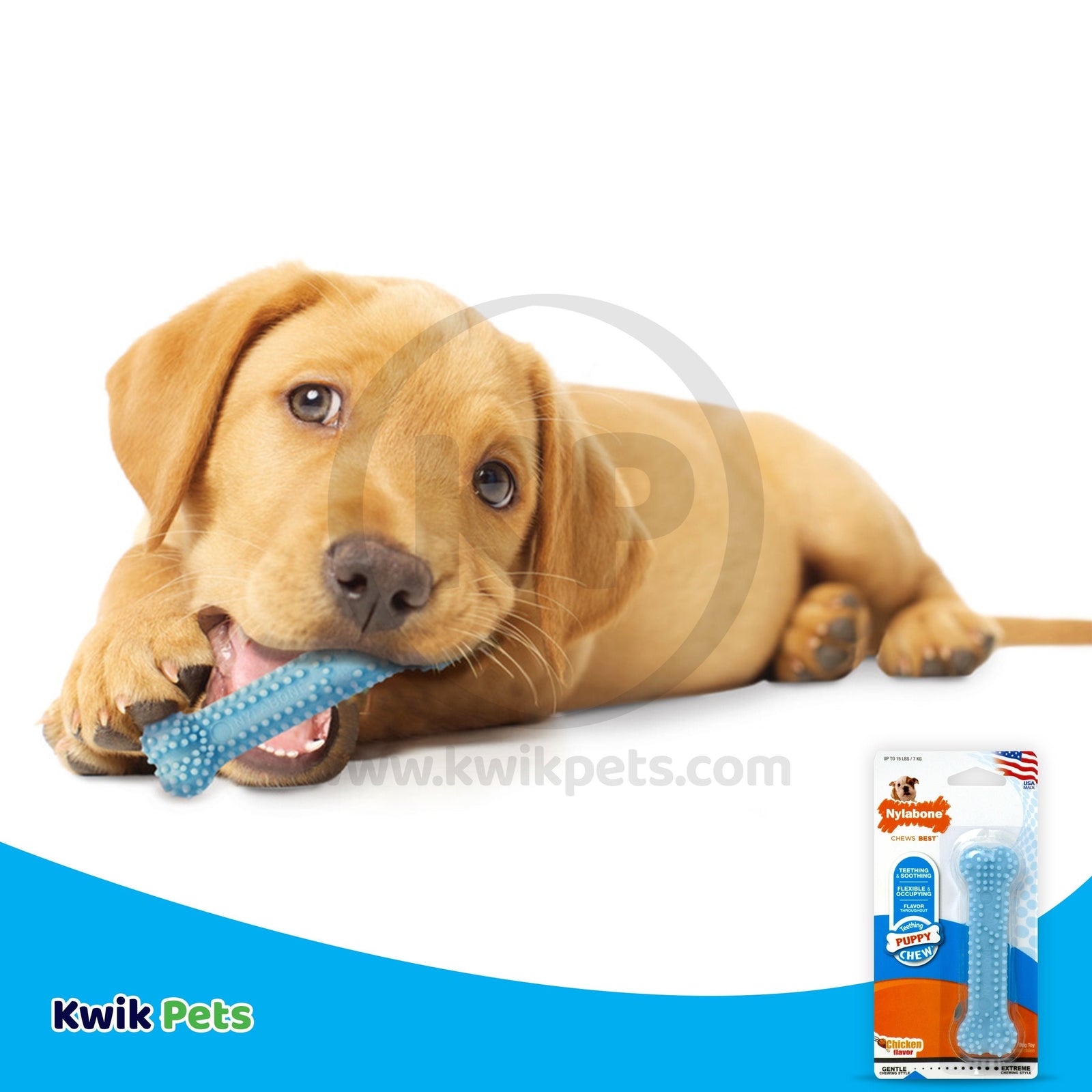 Nylabone Puppy Teething & Soothing Flexible Chew Toy Chicken Flavor Blue XS/Petite