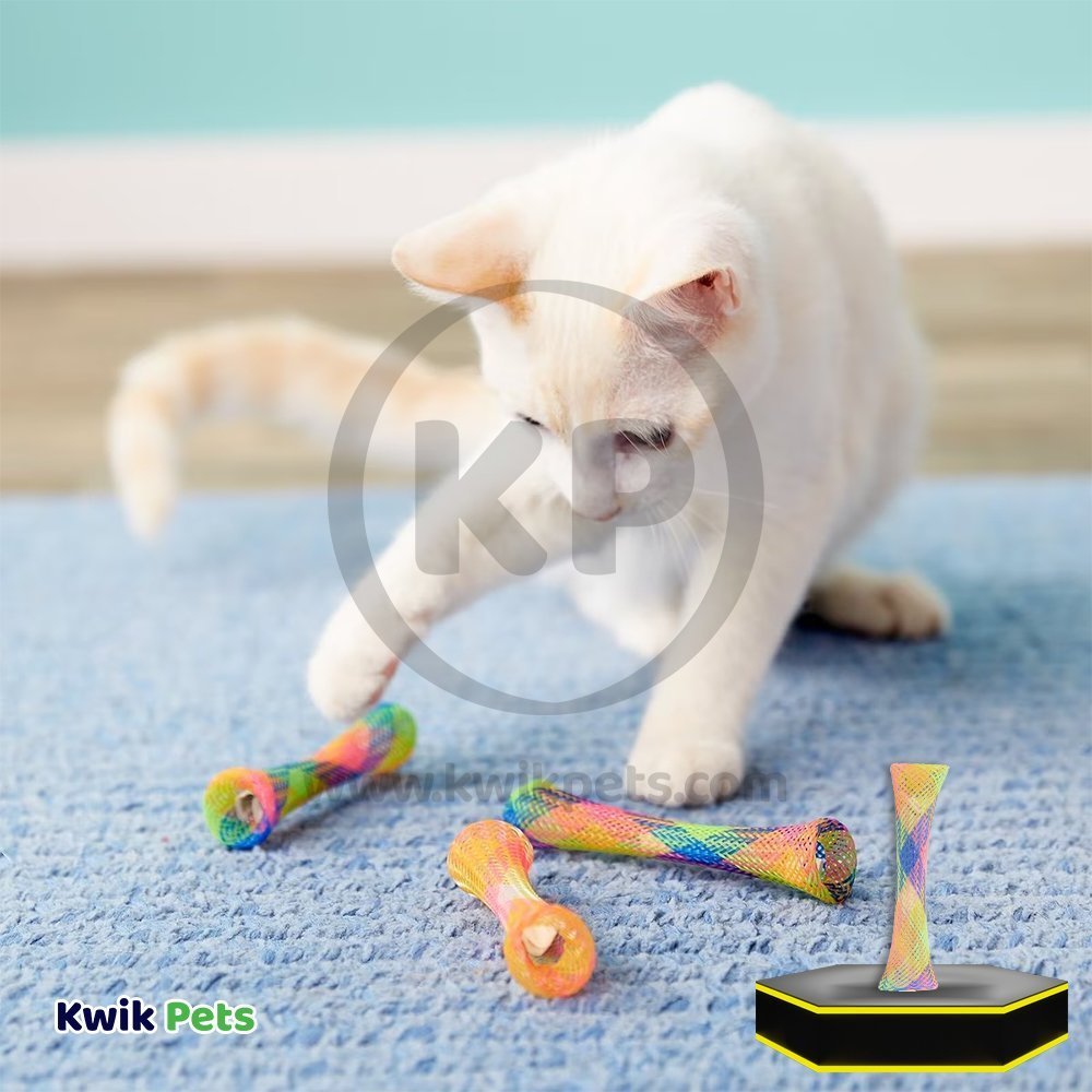Cat playing with Ethical Pet Spot Kitty Fun Tubes Catnip Cat Toy Assorted 3 Count 3.25-in
