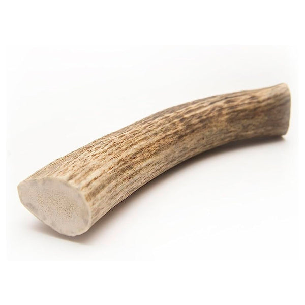 Real Image of Barkworthies Whole Elk Antler Dog Chew for Large Breed Dogs
