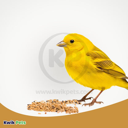 Volkman Seed Company Avian Naturals Canary/Finch Bird Food 4 lb