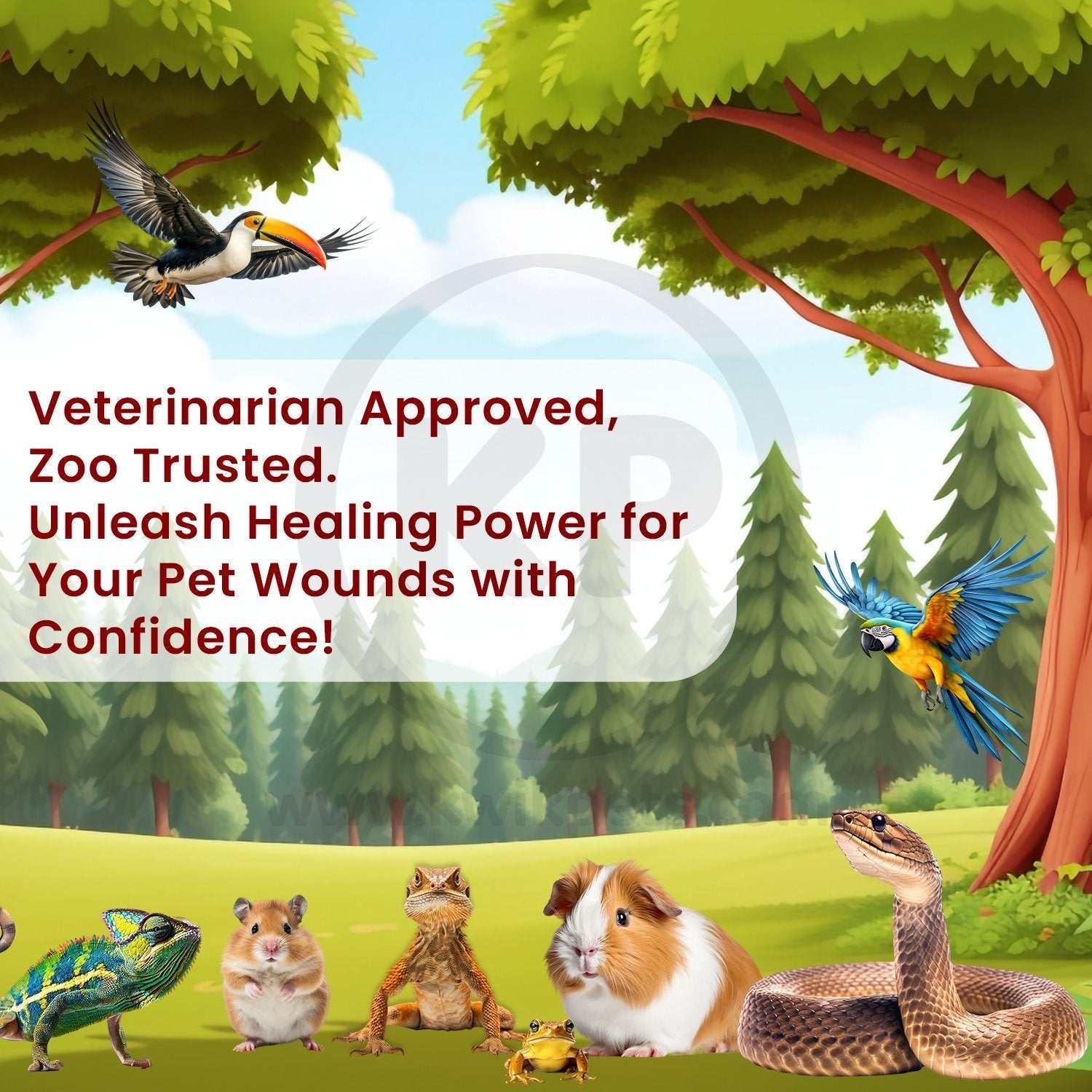 Shop for F10 Germicidal Wound Spray with Insecticide