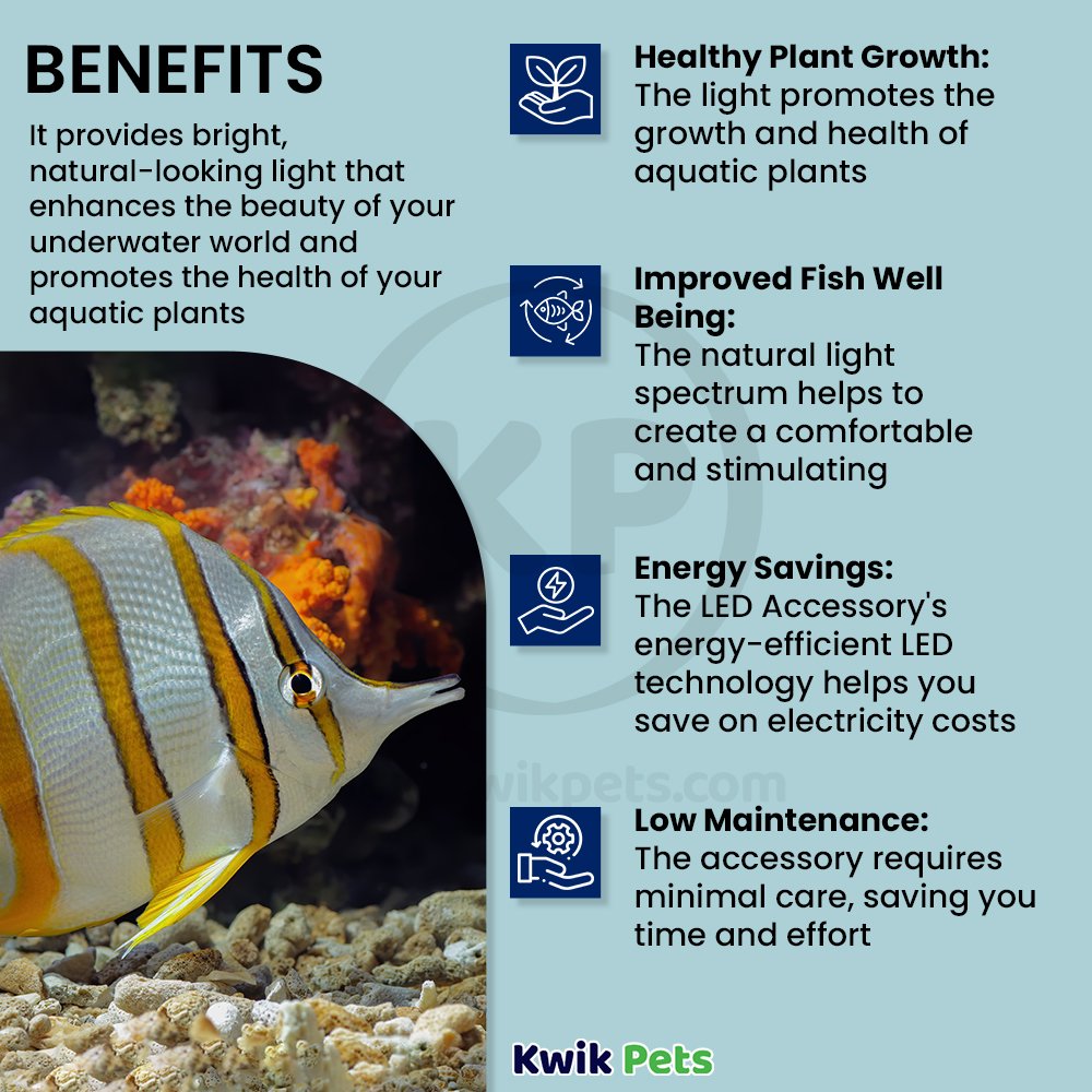Biorb Classic 15 LED Accessory, Kwik Pets