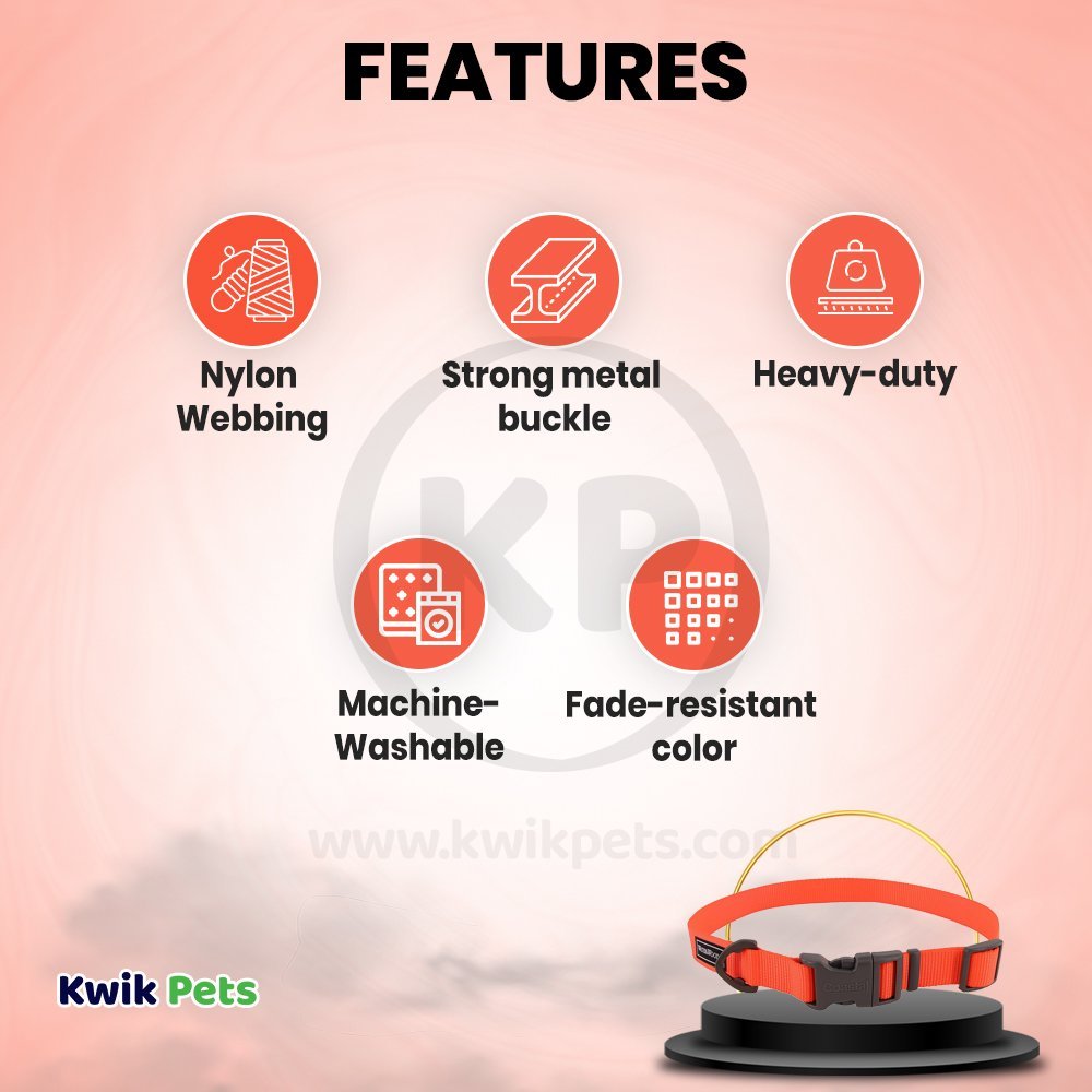 Coastal Water & Woods Adjustable Dog Collar Safety Orange 14-20 in, Kwik Pets
