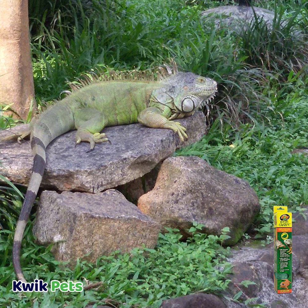 Zoo Med Reptile Terrarium Eco Carpet Grey 40-gal 15 in X 36 in, Kwik Pets