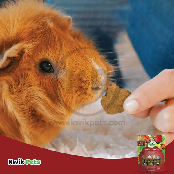 Oxbow Animal Health Simple Rewards Veggie Small Animal Treats 3-oz, Kwik Pets