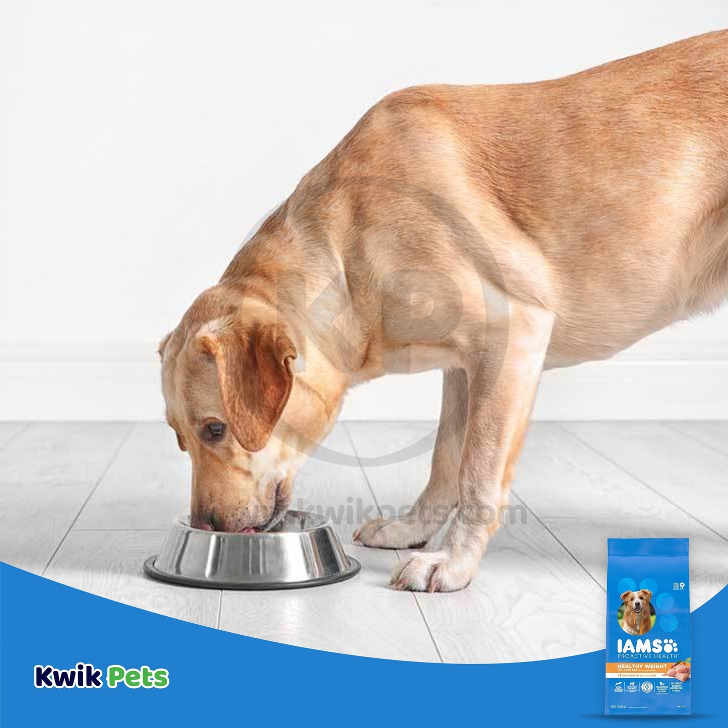 Dog Image of IAMS Healthy Weight Adult Dry Dog Food Chicken 7-lb