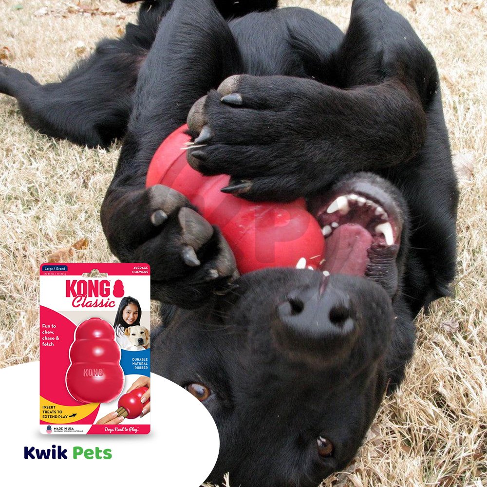 KONG Classic Dog Toy Large, Kwik Pets