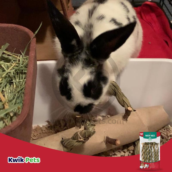 Oxbow Animal Health Timothy CLUB Hay Twists Small Animal Treat 6 Count, Kwik Pets
