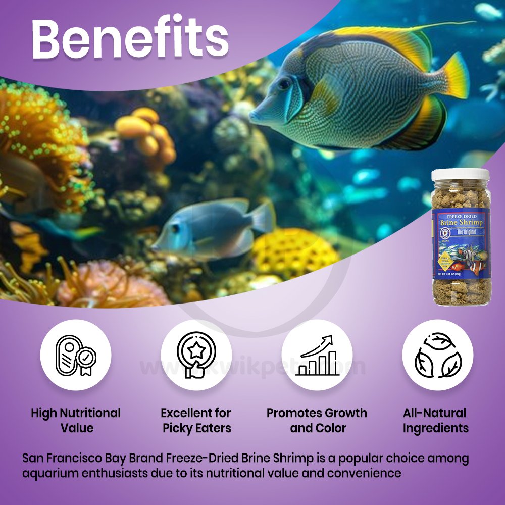 San Francisco Bay Brand Freeze-Dried Brine Shrimp, 1.36-oz, Kwik Pets