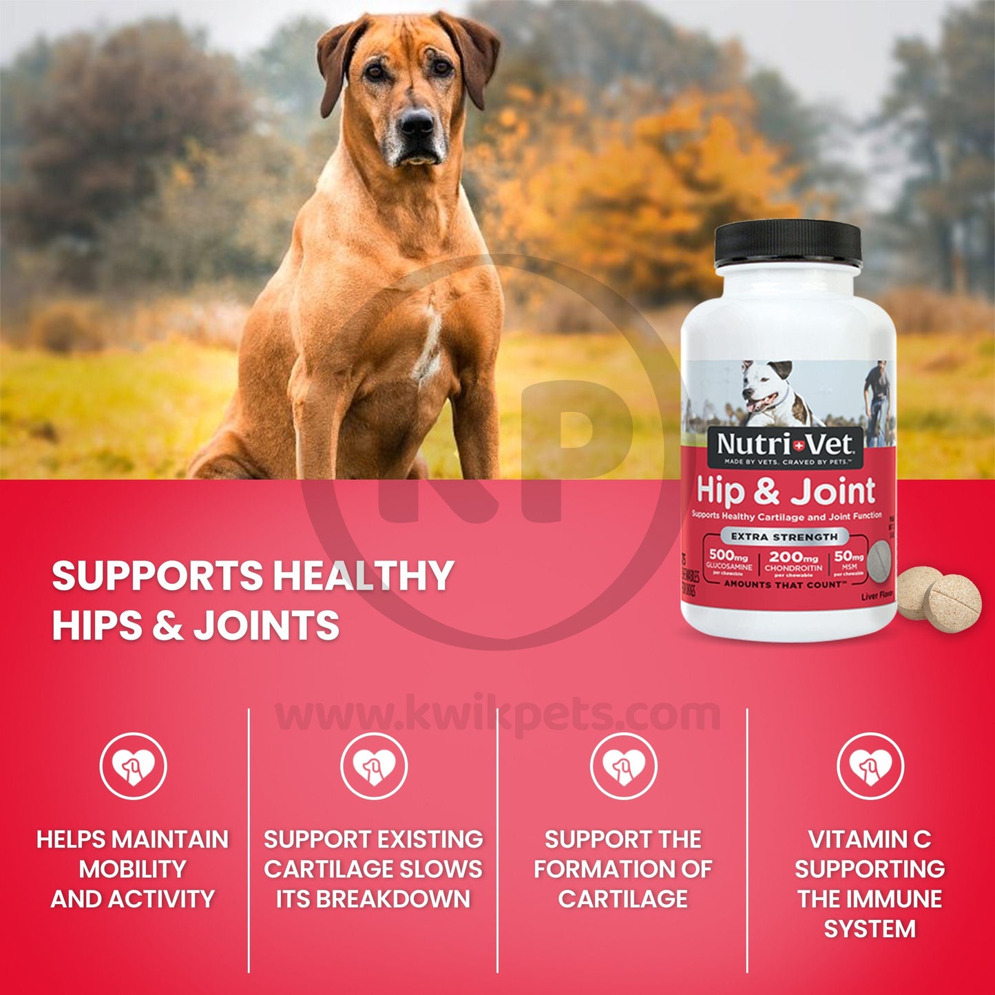 Benefits of Nutri-Vet Hip & Joint Extra Strength Chewables for Dogs Liver 75 Count
