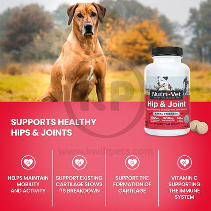 Benefits of Nutri-Vet Hip & Joint Extra Strength Chewables for Dogs Liver 75 Count