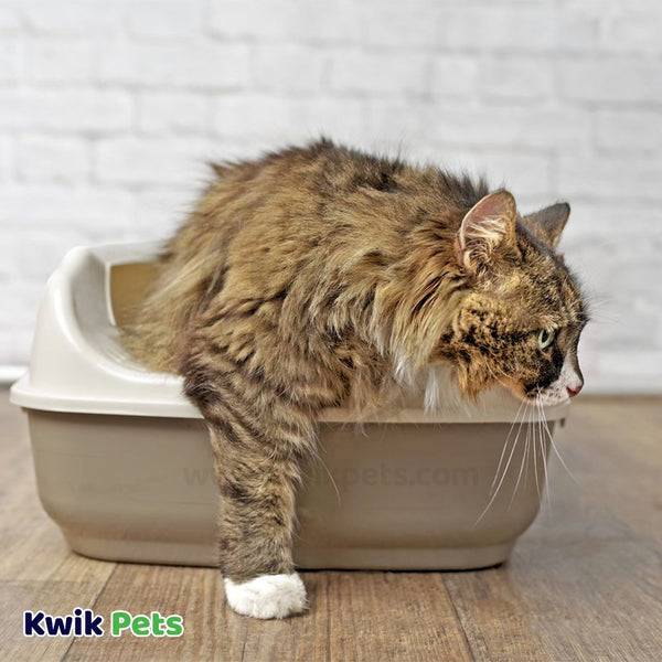 World's Best Cat Litter Low Tracking & Dust Control Multiple Cat Unscented Formula 15-lb, Kwik Pets