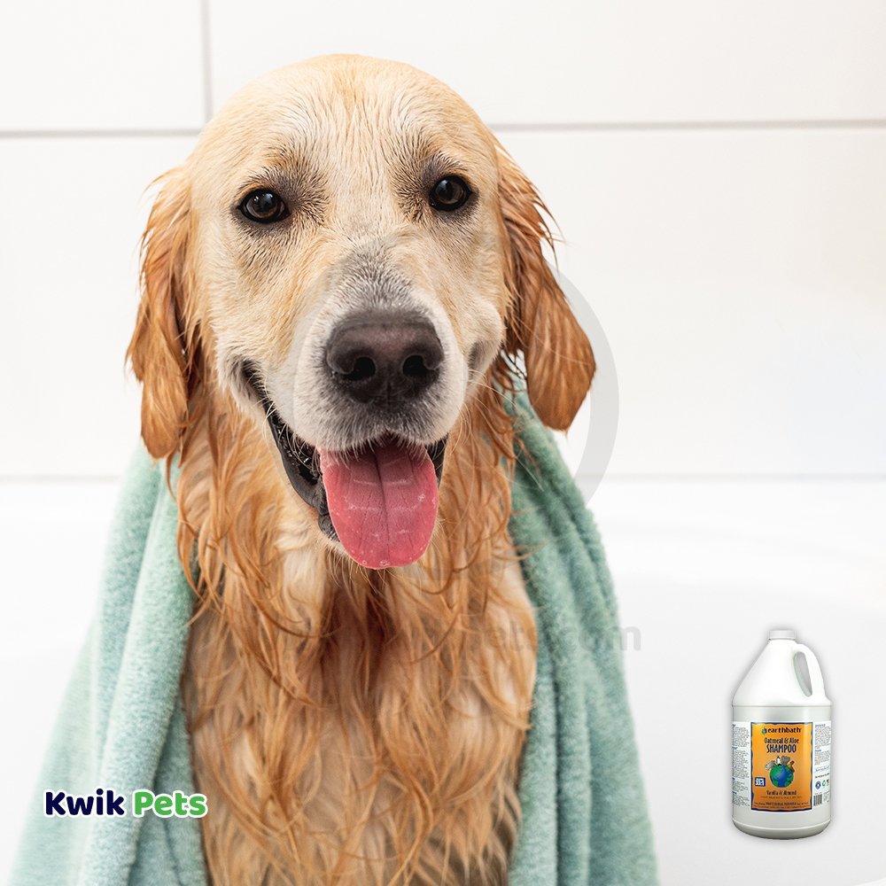 Dog Image of Earthbath Oatmeal & Aloe Pet Shampoo Vanilla & Almond 128-oz
