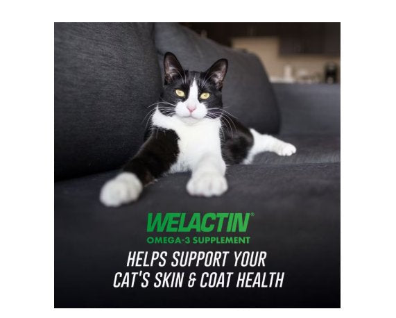 Nutramax Laboratories Welactin Omega-3 Fish Oil Liquid Skin & Coat Supplement for Cats 4-oz