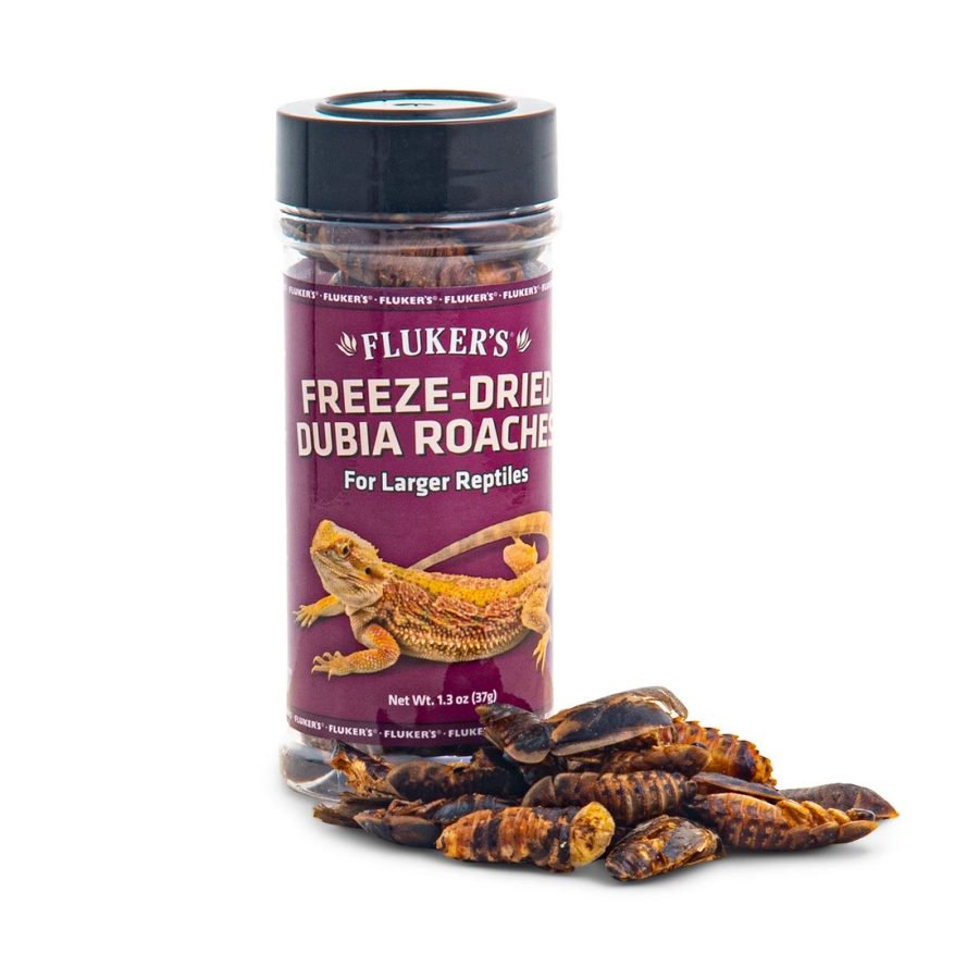 Fluker's Freeze-Dried Dubia Roaches Reptile Food, 1.3-oz, Kwik Pets