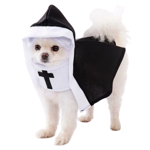 PAWPAWwholesale Cat Nun Costume Cosplay Black Medium