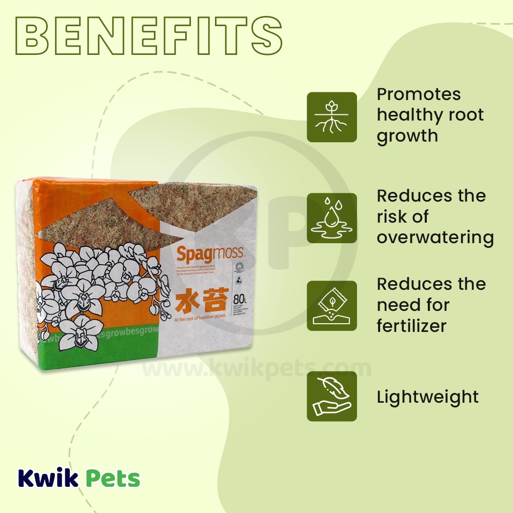 New Zealand Spagmoss 1Kg, New Zealand