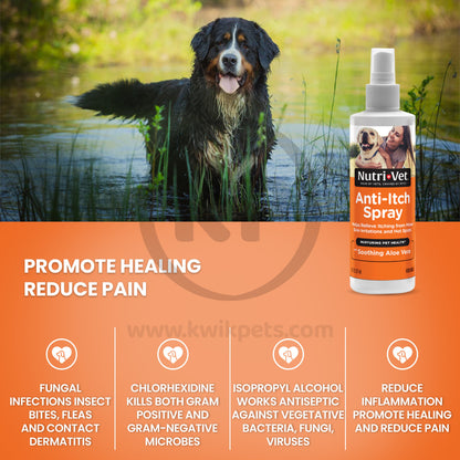 Nutri-Vet Anti-Itch Spray, 8 oz, Nutri-Vet
