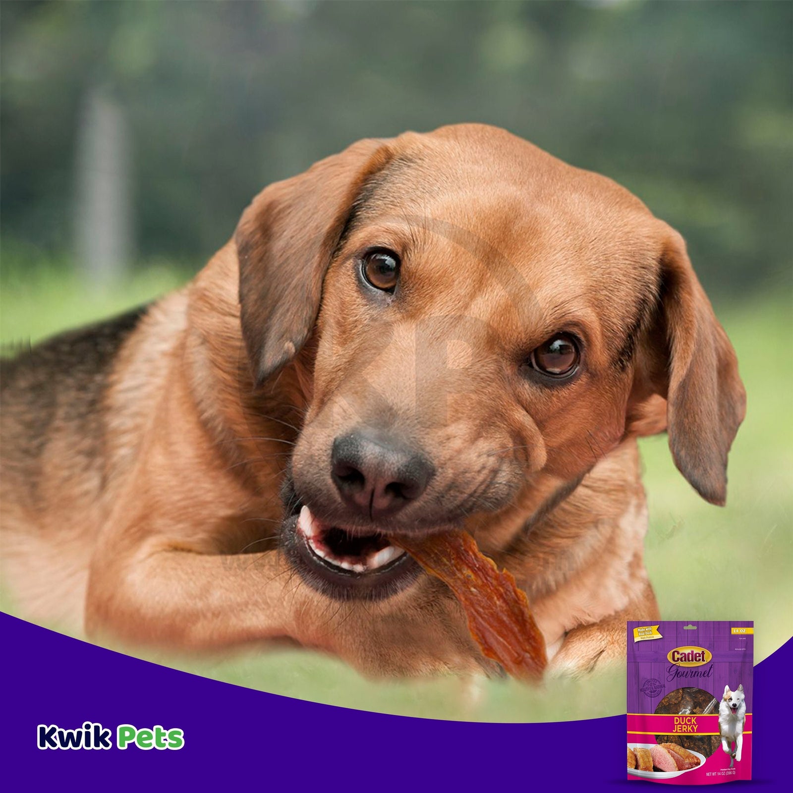 Cadet Gourmet Duck Jerky for Dogs Treats