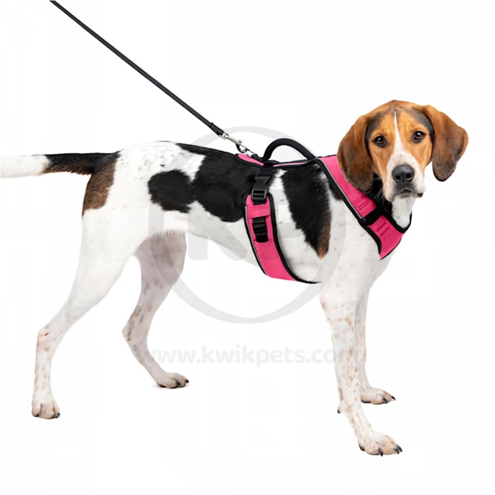 Lifestyle of EasySport Comfortable Dog Harness Pink Small