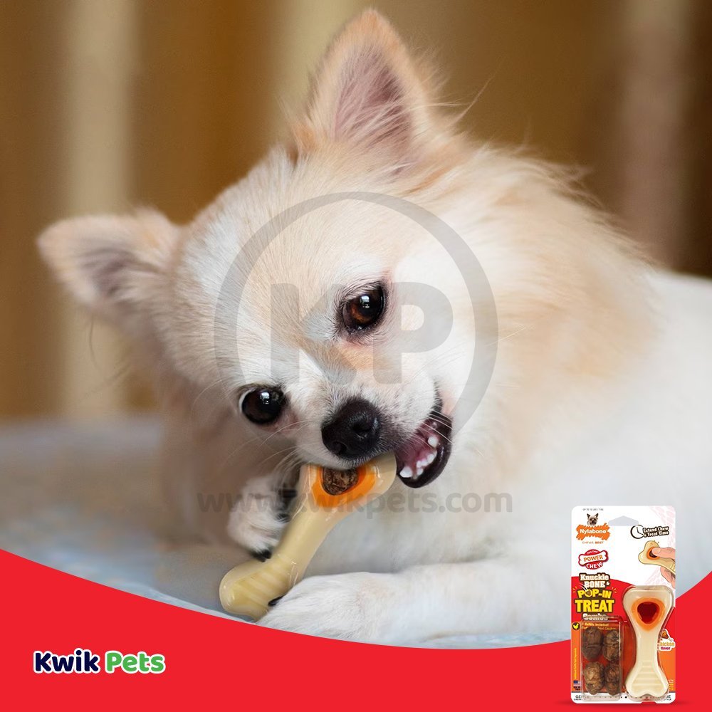 Dog Image of Nylabone Power Chew Knuckle Bone & Pop-In Treat Dog Toy Combo Chicken XS/Petite - Up To 15 lbs
