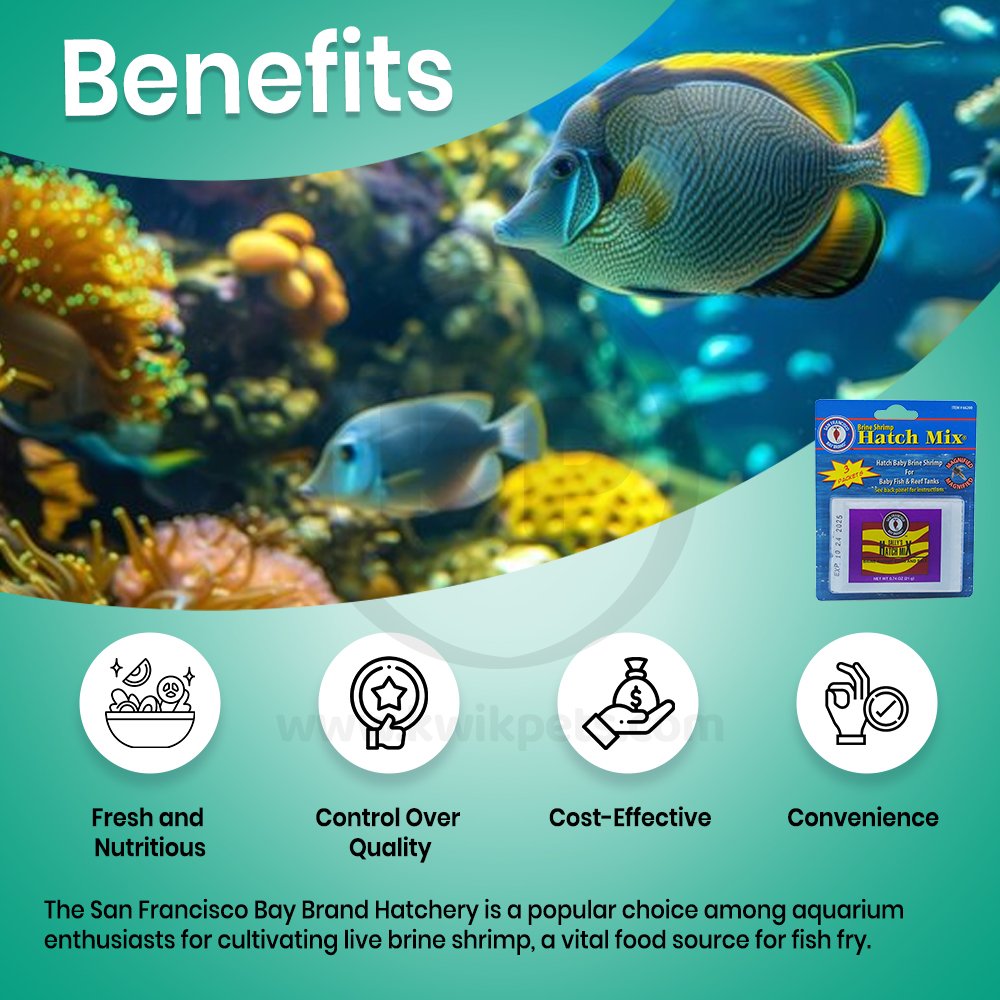Benefits of San Francisco Bay Brand Brine Shrimp Hatch Mix Fish Food 0.74-oz 3 Count