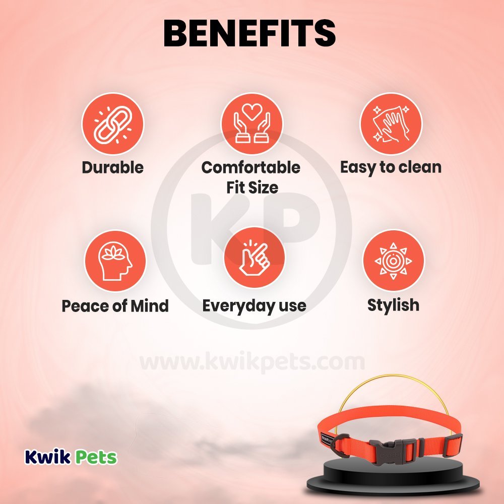 Coastal Water & Woods Adjustable Dog Collar Safety Orange 14-20 in, Kwik Pets