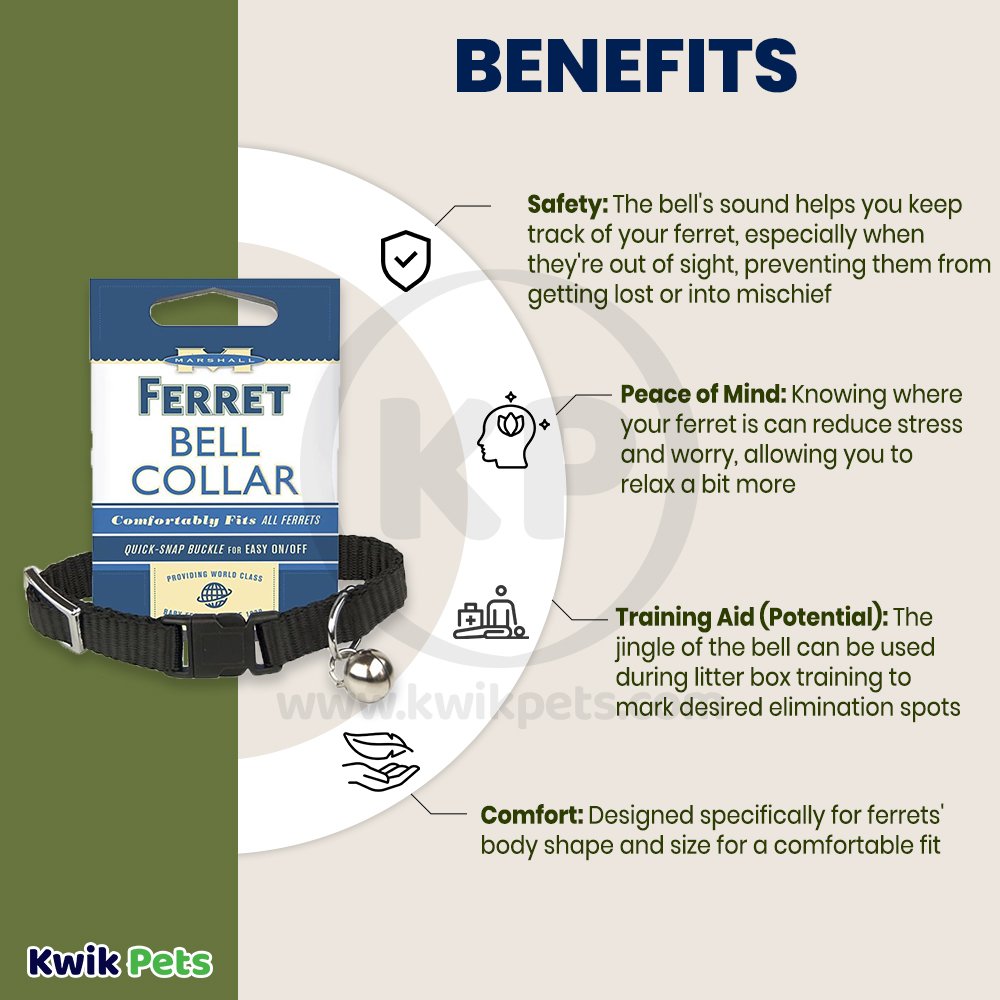 Marshall Pet Products Ferret Bell Collar Black 3/8-in, Kwik Pets