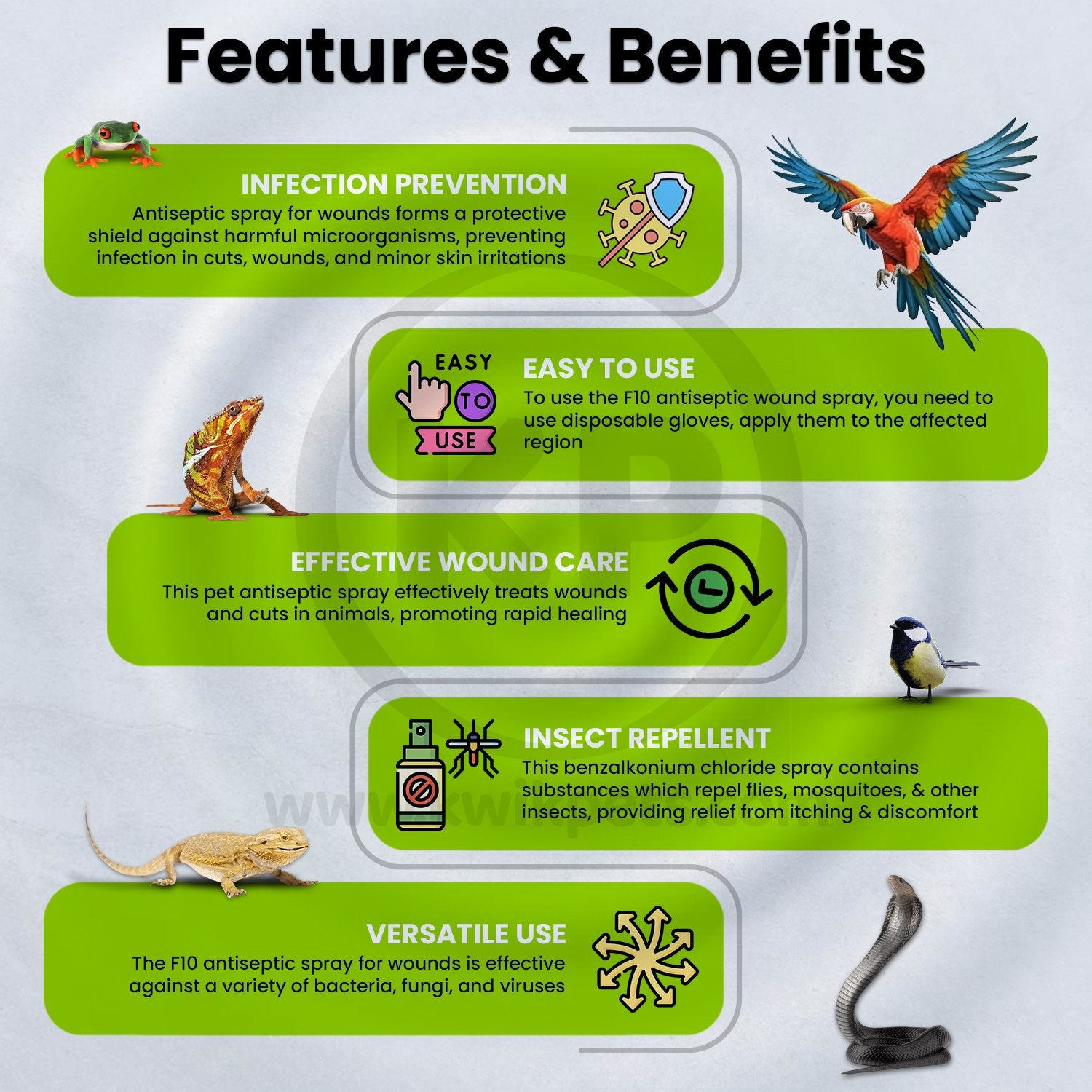 F10 Antiseptic Barrier Ointment for Reptiles, Birds, Small Animals & Exotic Animals 100g, Kwik Pets