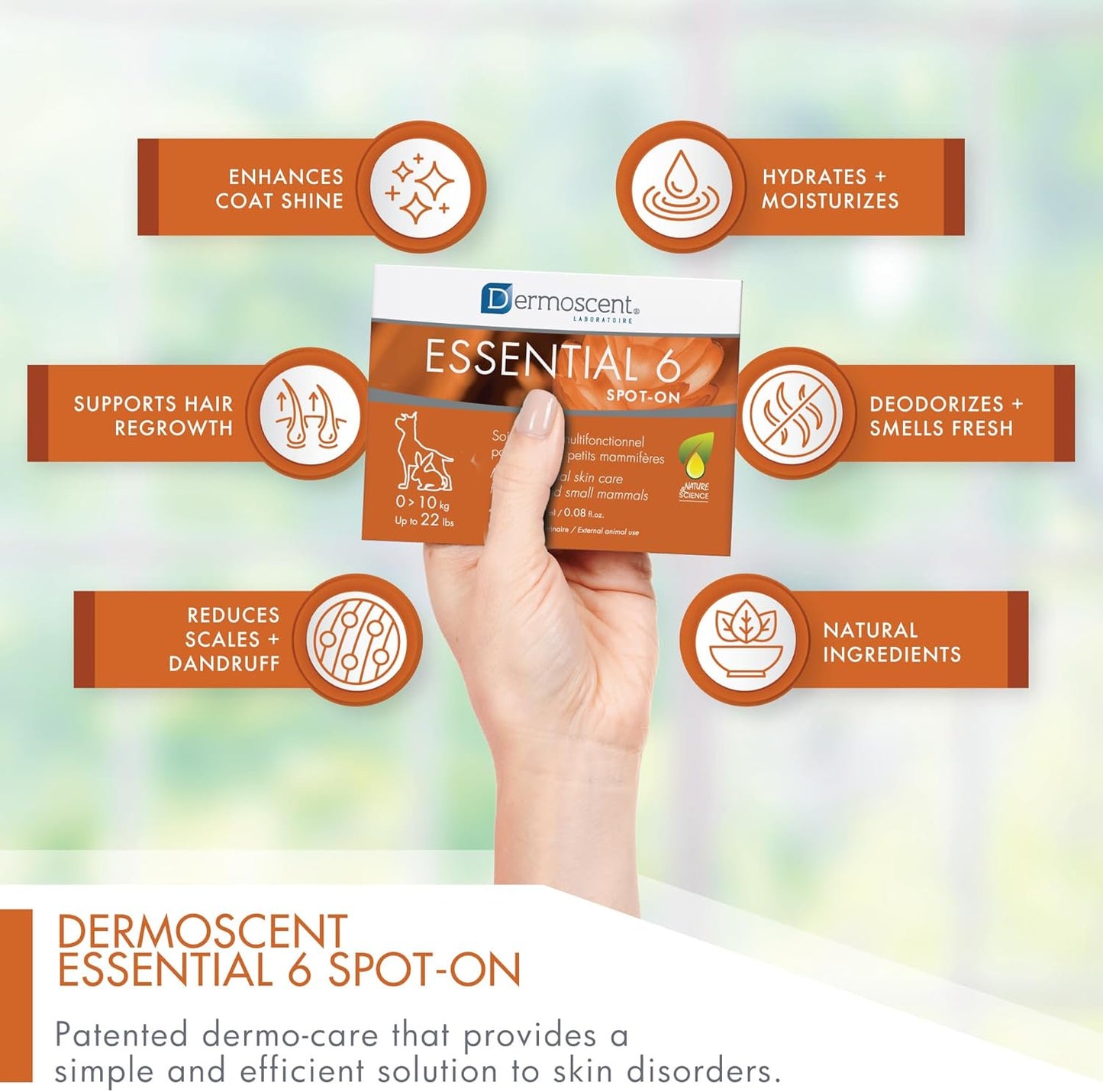 Dermoscent Essential 6 Spot-on Dog Skin Care for Dandruff & Allergy Relief Dogs & Small Mammals Up to 22-lb 4 Pipettes